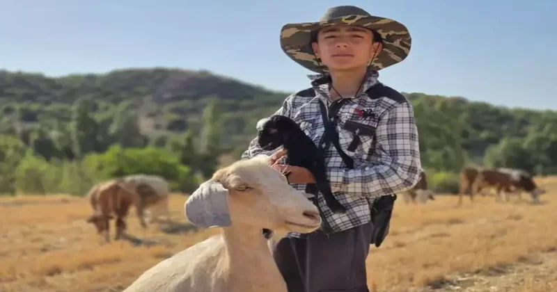 Görenin içini ısıtan görüntü, vicdan ve ahlak terimlerini sorgulattı