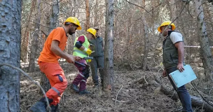 Palandöken’de yangına karşı seferberlik