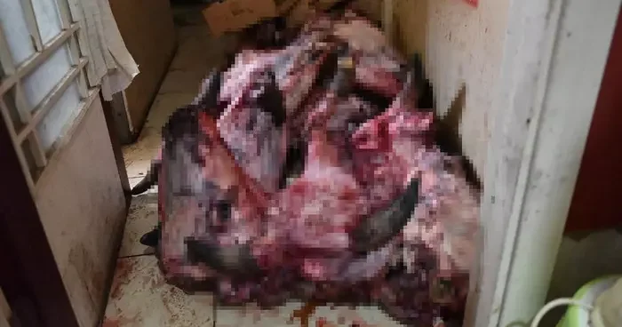 Yumurta paketinden hamam böceği yumurtaları çıktı: Denetimden çıkanlar şoke etti! İmha edilecek