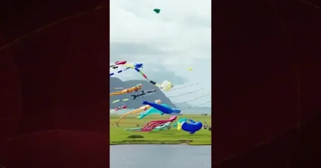 İrlanda Uçurtma Festivali renkli görüntülere sahne oldu
