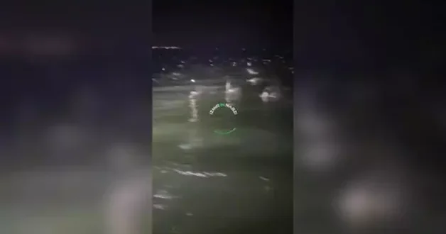 İzmir Narlıdere de ilginç görüntü: Çok sayıda balık aynı anda su üstünde