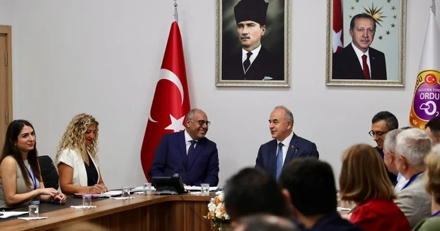 Birleşmiş Milletler ILO Türkiye Ofisi heyetinden Ordu Valisi Erol a ziyaret Ordu Haberleri
