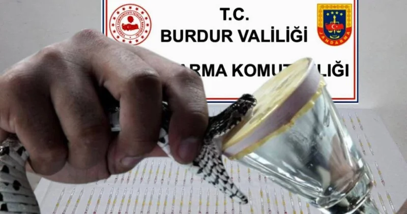 60 milyon TL değerinde Kobra zehri ele geçirildi: Kaçakçılar serbest bırakıldı