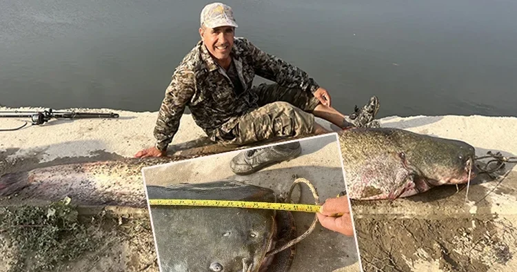 Edirne de görenler şaşkına döndü! Oltaya takıldı: 2,5 metre boyunda