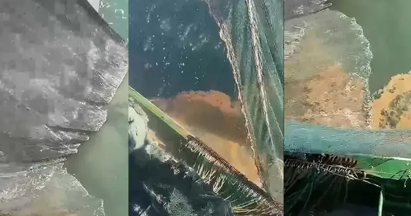 Marmara Denizi nde müsilaj tehdidi