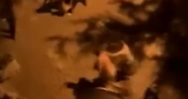 Babanızın yeri mi kavgası! Güncel haberler Son dakika haberleri