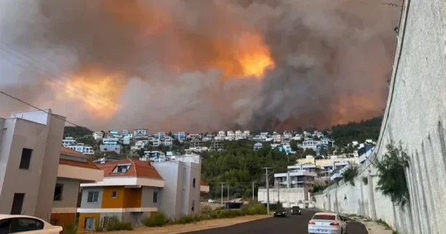 Alanya da yeniden başlayan yangın yerleşim bölgesine ulaştı VİDEO İZLE