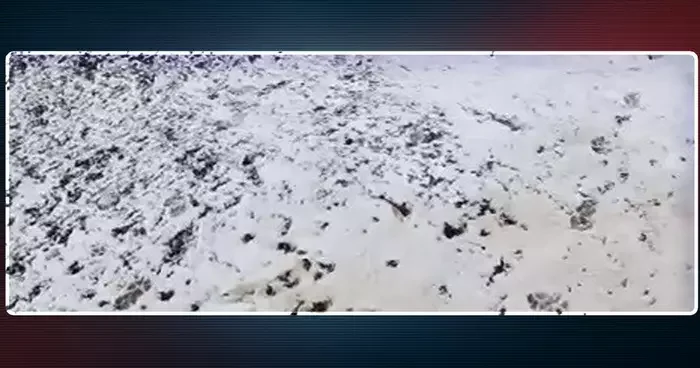 Yaz bitti, sıcaklıklar düştü! Mevsimin ilk kar yağışı Erzurum da yaşandı... Beyaza büründü