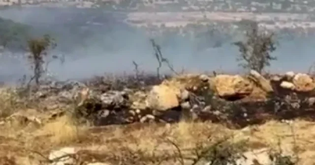 Diyarbakır’da orman ve örtü yangını VİDEO İZLE