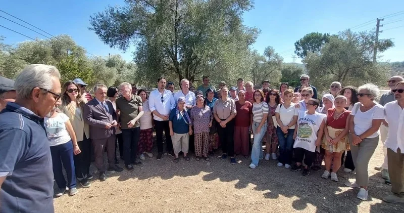 Barolar Birliği zeytinliklerin söküldüğü bölgeye gitti: Ağaç taşınmaz hafıza yerine konmaz