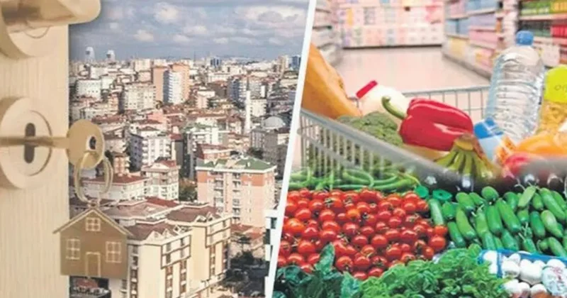 Gıda, kira ve ulaşım harcamalarına çözüm geliyor
