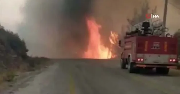 Muğla daki orman yangınında araç alevlerin arasında kaldı!