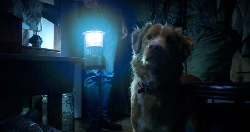 Bir köpeğin gözünden anlatılan korku filmi Good Boy dan vizyon öncesi son fragman
