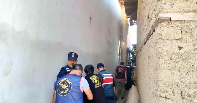 Denizli de Trajik Olay: Torun, Yaşlı Kadını Öldürdü