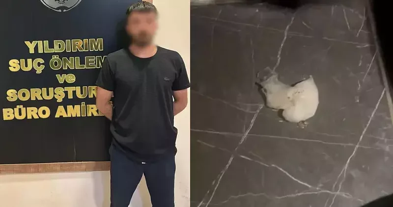 Uyuşturucu şüphelisi kahvehanenin tuvaletinde yakalandı