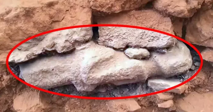 SON DAKİKA Bakan Ersoy duyurdu: Göbeklitepe de tarihin seyrini değiştirecek keşif! İnanç dünyasına ışık tutacak