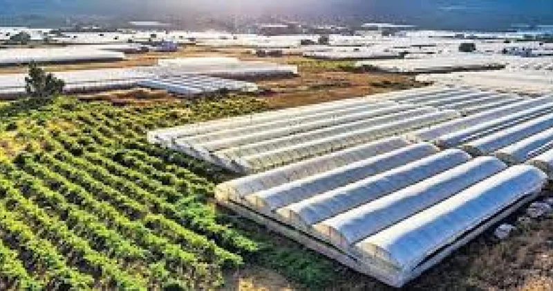 Silopi’de tarımda dönüşüm başladı: 1000 kişiye iş binlerce sofraya ürün