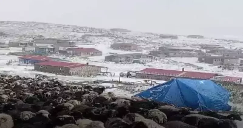Erzurum un yüksek kesimlerine eylül ayının ortasında kar yağdı