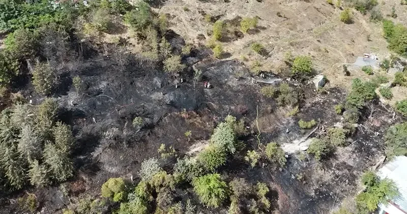 Kağıthane de alev alev yanan ağaçlık alan küle döndü