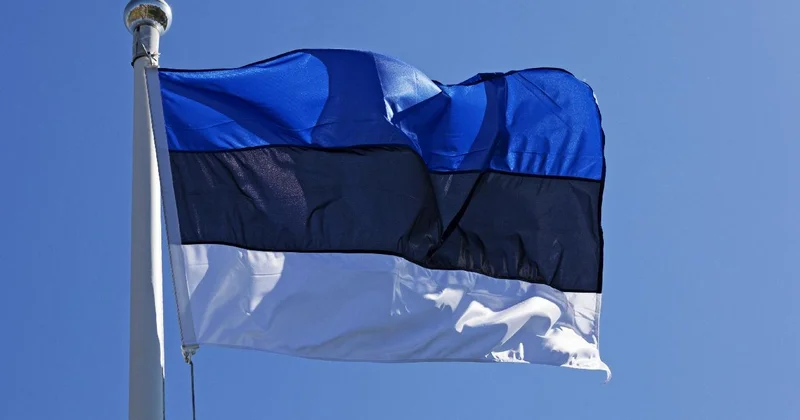 Estonya, Rus savaş uçaklarının hava sahasını ihlal ettiğini duyurdu
