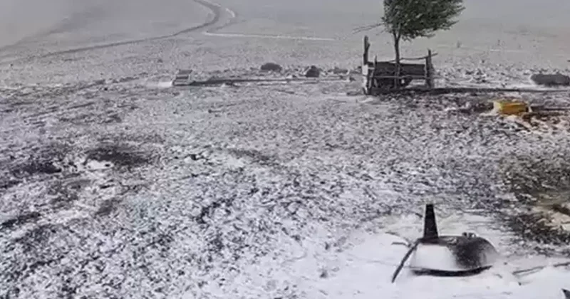 Mevsimin ilk karı Erzurum a düştü