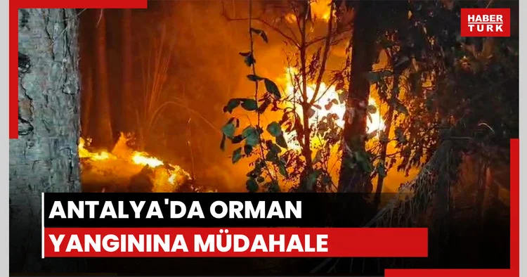 Antalya daki orman yangınına müdahale sürüyor