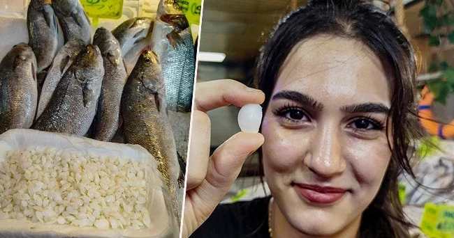 Bu balıklar başındaki taştan dolayı satılıyor! Kilosu 10 bin lira İspatlanmış faydası yok ama inananlar alıyor