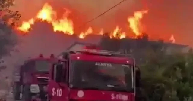 Alanya daki orman yangınını söndürme çalışmaları sürüyor VİDEO İZLE