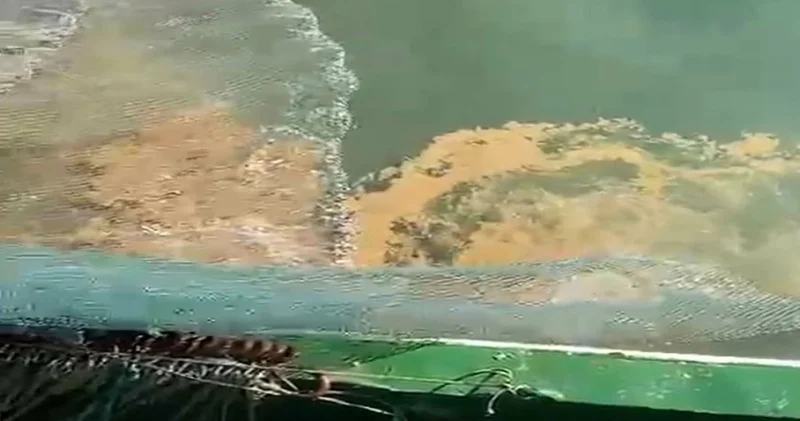 Marmara Denizi için korkutan uyarı; bu yıl tarihte ilk defa o bölgede görüldü!