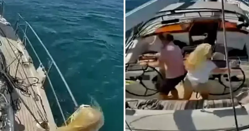 Katil balinalar lüks turist yatını batırdı! Mürettebat canını zor kurtardı