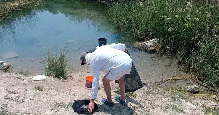 Tarihi hamam kalıntıları arasındaki süs balıklarını kaçak balık avlayanlara suç üstü