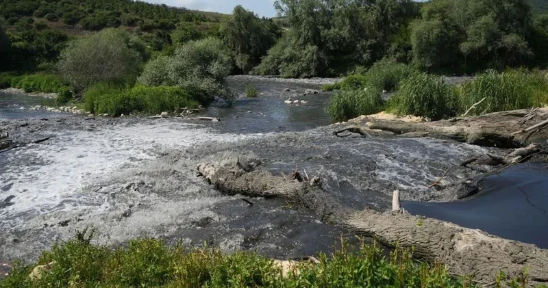 Katran karası akıyor, Marmara nın zehri Nilüfer den