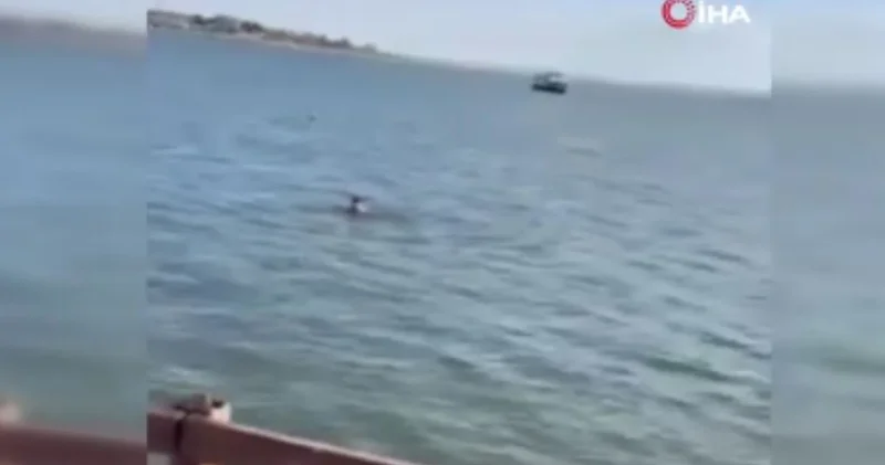 Kurtuldum diye bağırıp kendini Mogan Gölü ne attı