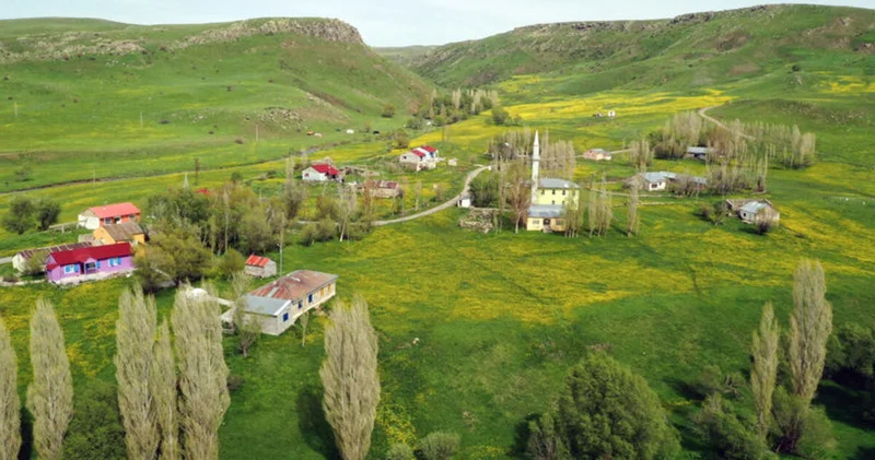 Ağrı da baharın gelişiyle dağlarda rengarenk çiçekler açtı