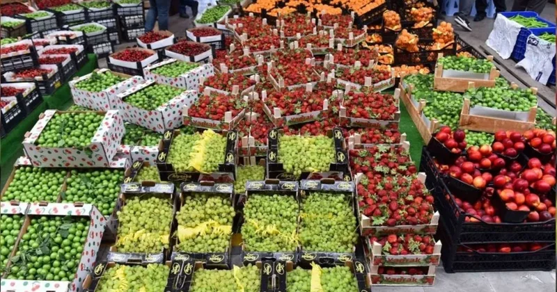 Sebze meyvede fahiş fiyatlara karşı radikal adım