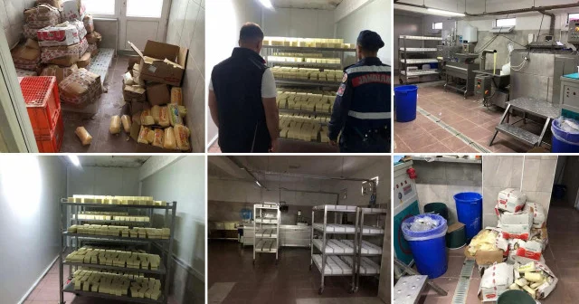 İnsanların sağlığıyla böyle oynamışlar: Sakarya da 1,5 milyonluk sahte kaşar peyniri operasyonu Sakarya Haberleri
