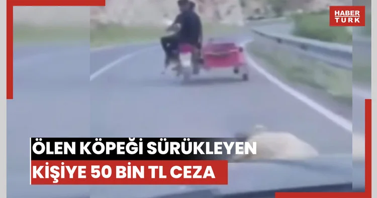 Ölen köpeği sürükleyen kişiye 50 bir TL ceza