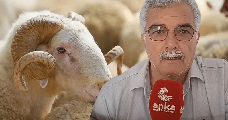 Emekli, Diyanet e sordu: Mesela 4 kişi bir koyuna girebilir miyiz?