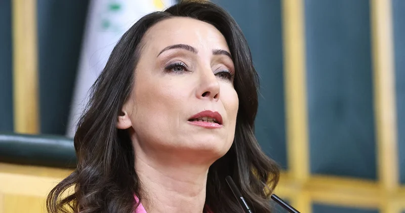 DEM Partili Hatimoğulları: Yeni sürecin çözüm adresi Meclis tir