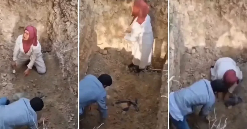 Görüntü Türkiye den! Hastalıktan ve kuduzdan ölen köpeklerin mezarlarını açmaya kalktılar