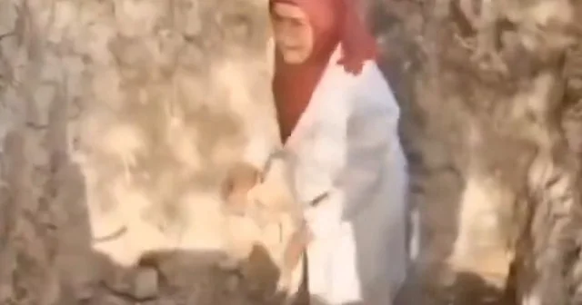 Bursa da korkutan manzara: Ölü köpekleri mezarlarından çıkarmaya çalıştılar VİDEO İZLE