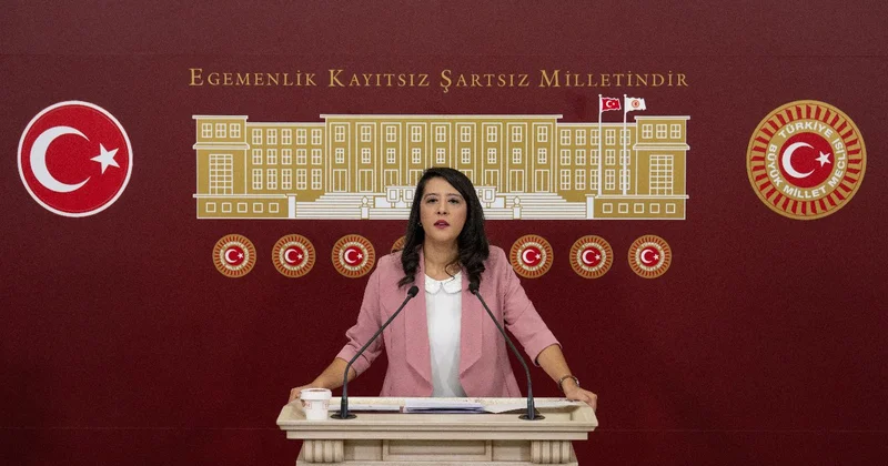 EMEP li Karaca dan sürece ilişkin çağrı: Seyirci kalacak değiliz