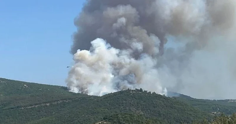 Yangındaki biçerdöver iddiasına 5 gözaltı! Son dakika haberleri