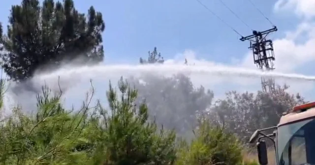 Hatay’da ormanlık alandaki yangın büyümeden söndürüldü VİDEO İZLE