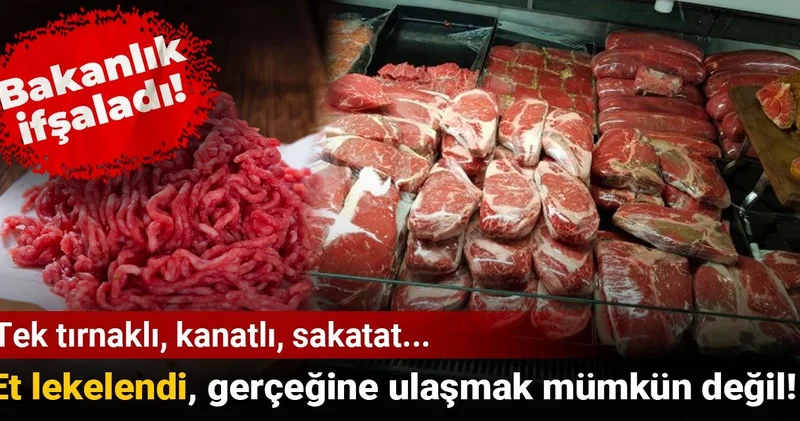 Tek tırnaklı, kanatlı, sakatat... Et lekelendi, gerçeğine ulaşmak mümkün değil! Bakanlık ifşaladı!