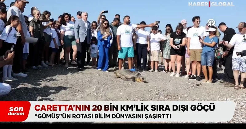 Uydudan izlenen Gümüş ün sıra dışı yolculuğu bilim insanları şaşırttı: Küresel ısınmanın etkilerini ortaya koydu