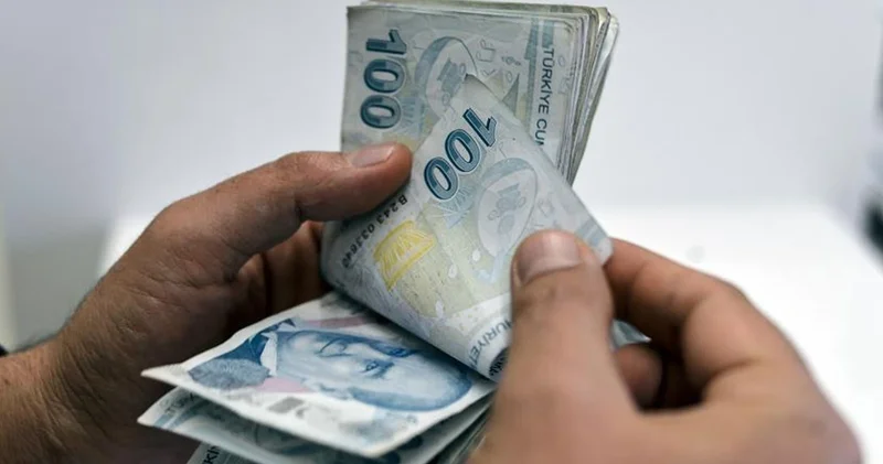 Bakanlık açıkladı: 263 milyon lira tarımsal destekleme ödemesi yapılacak