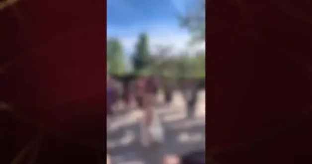 Üniversitede dansöz rezaleti!