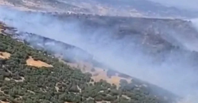 Manisa nın Kula ilçesinde orman yangını çıktı VİDEO İZLE