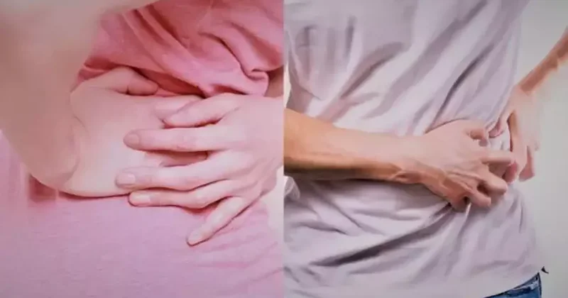 Böbrek yetmezliği belirtileri! Böbrek yetmezliğine ne iyi gelir? Doğal tedavisi...